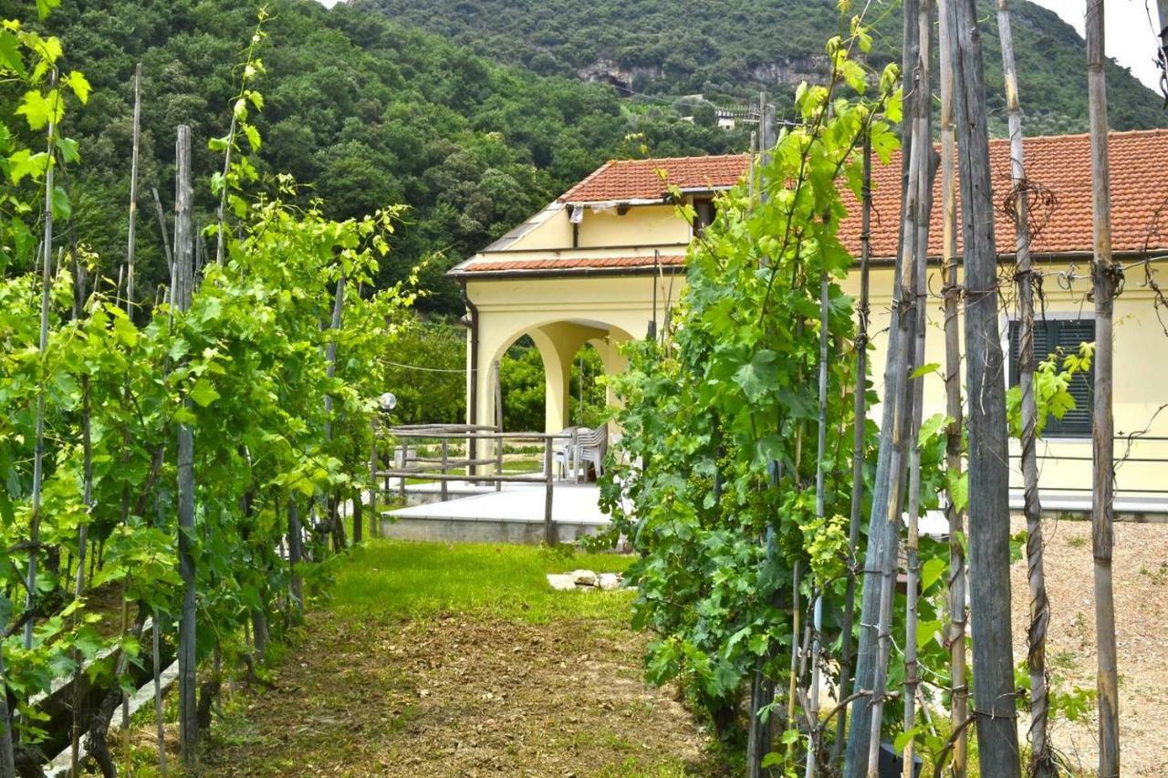 Charming Ligurian Riviera House Villa ฟีนาเลลีกูเร ภายนอก รูปภาพ